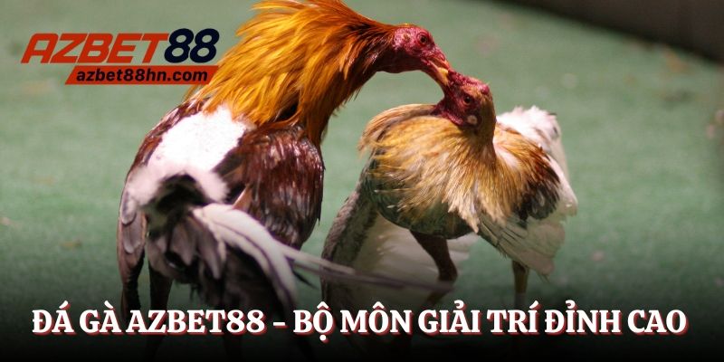 Đá gà Azbet88 - Bộ môn giải trí hàng đầu năm 2025