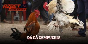 đá gà campuchia