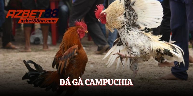 đá gà campuchia