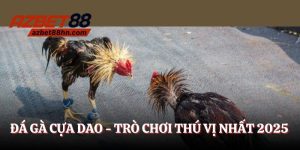 đá gà cựa dao