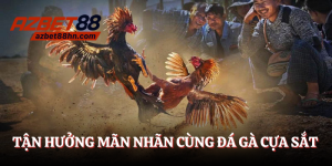 đá gà cựa sắt