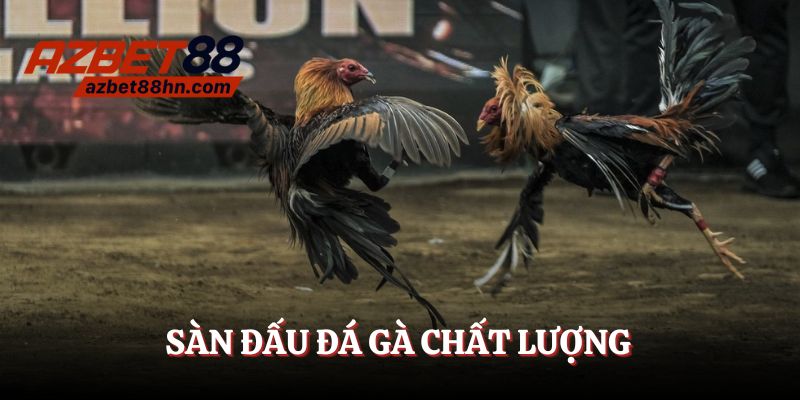 Hình ảnh chất lượng cao, sàn đầu chất lượng