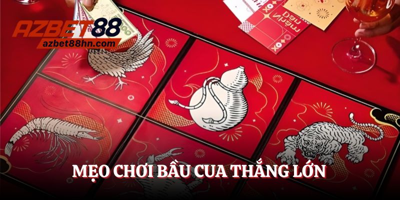 Học mẹo chơi bầu cua thắng lớn cho tân binh