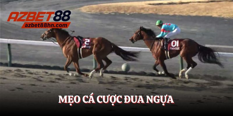 Mẹo cá cược đua ngựa Azbet88 cho tân binh