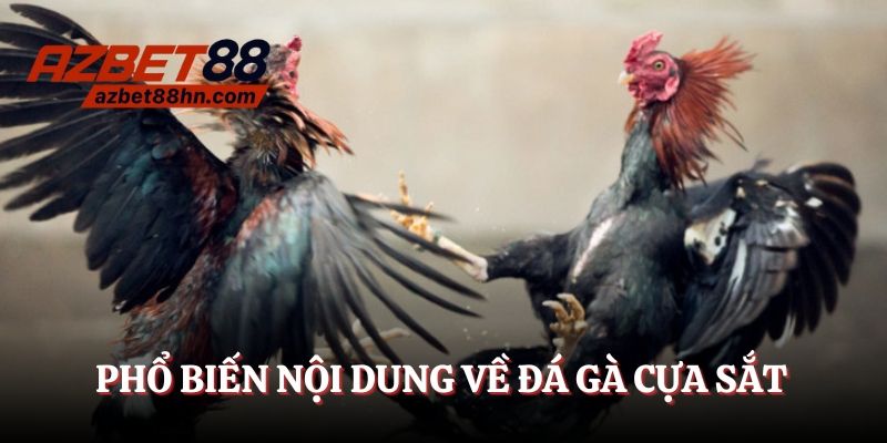 Phổ biến nội dung quan trọng về đá gà cựa sắt