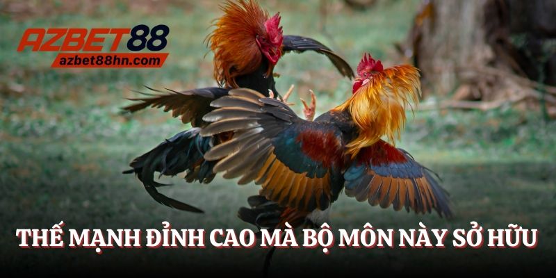 Thế mạnh đỉnh cao mà bộ môn này đang sở hữu