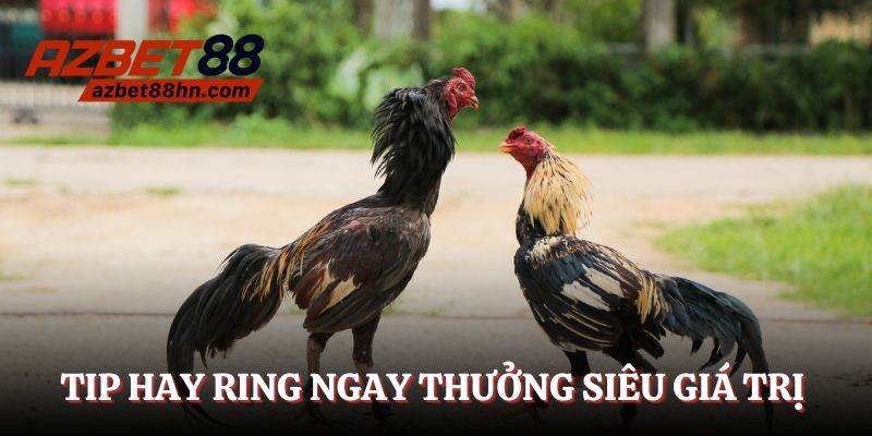 Tip hay rinh ngay phần thưởng siêu giá trị