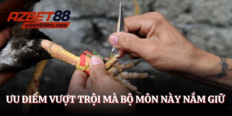 Ưu thế vượt trội mà bộ môn này đang nắm giữ