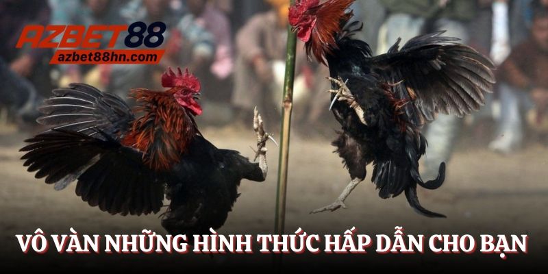 Vô vàn những hình thức hấp dẫn cho bạn lựa chọn